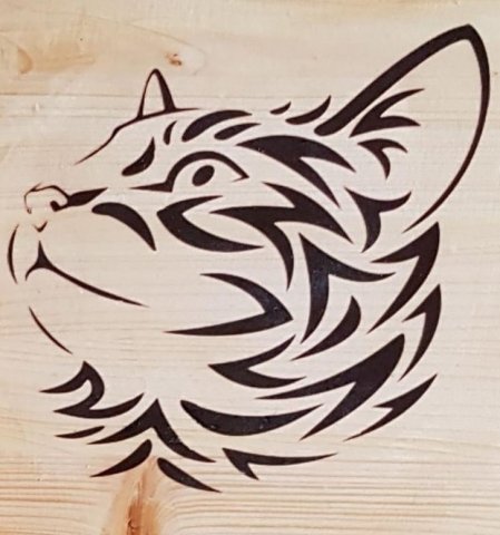 Katzenbild