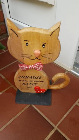 Katze