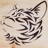 Katzenbild