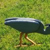 Reiher