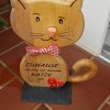 Katze